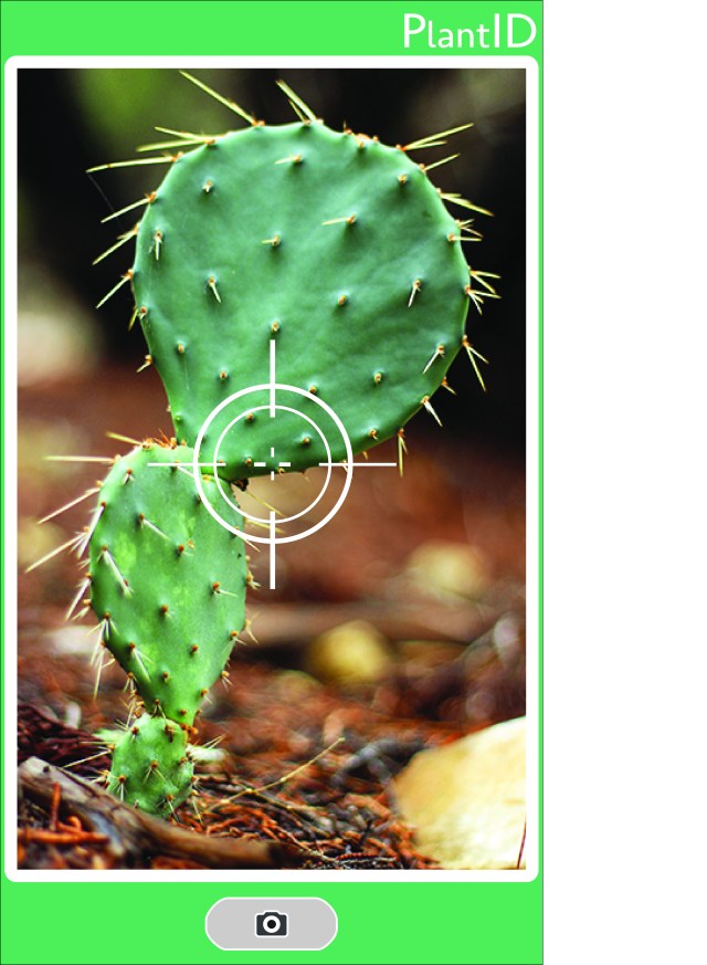 PlantID1